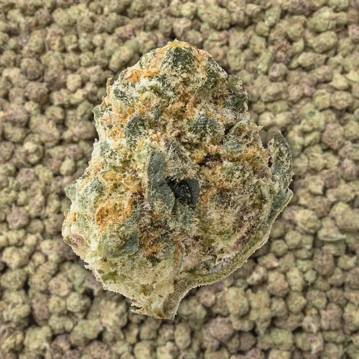 Scented Marker Smalls THCa Flower