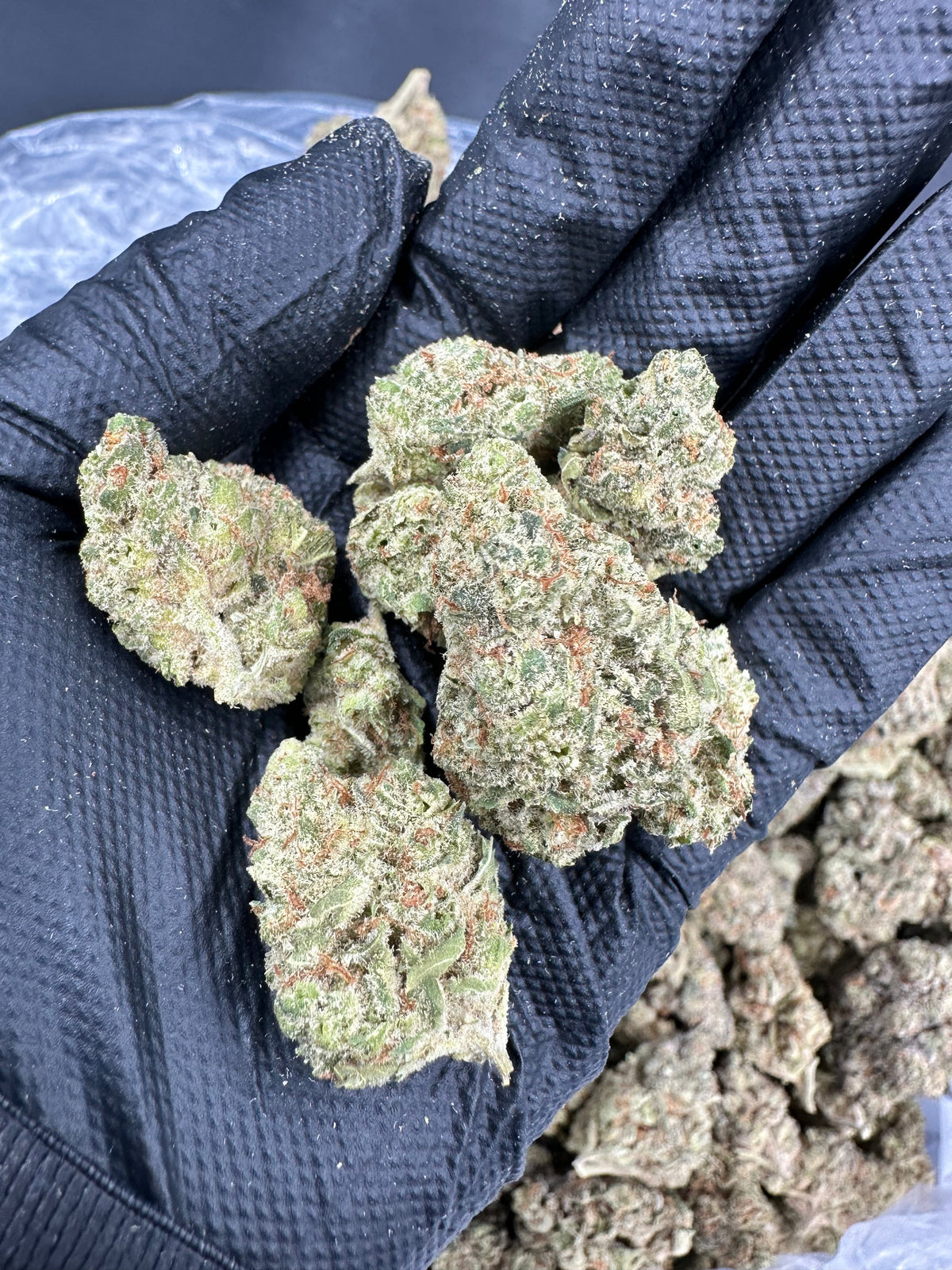 Sour Tangie THCA Flower (Premium)