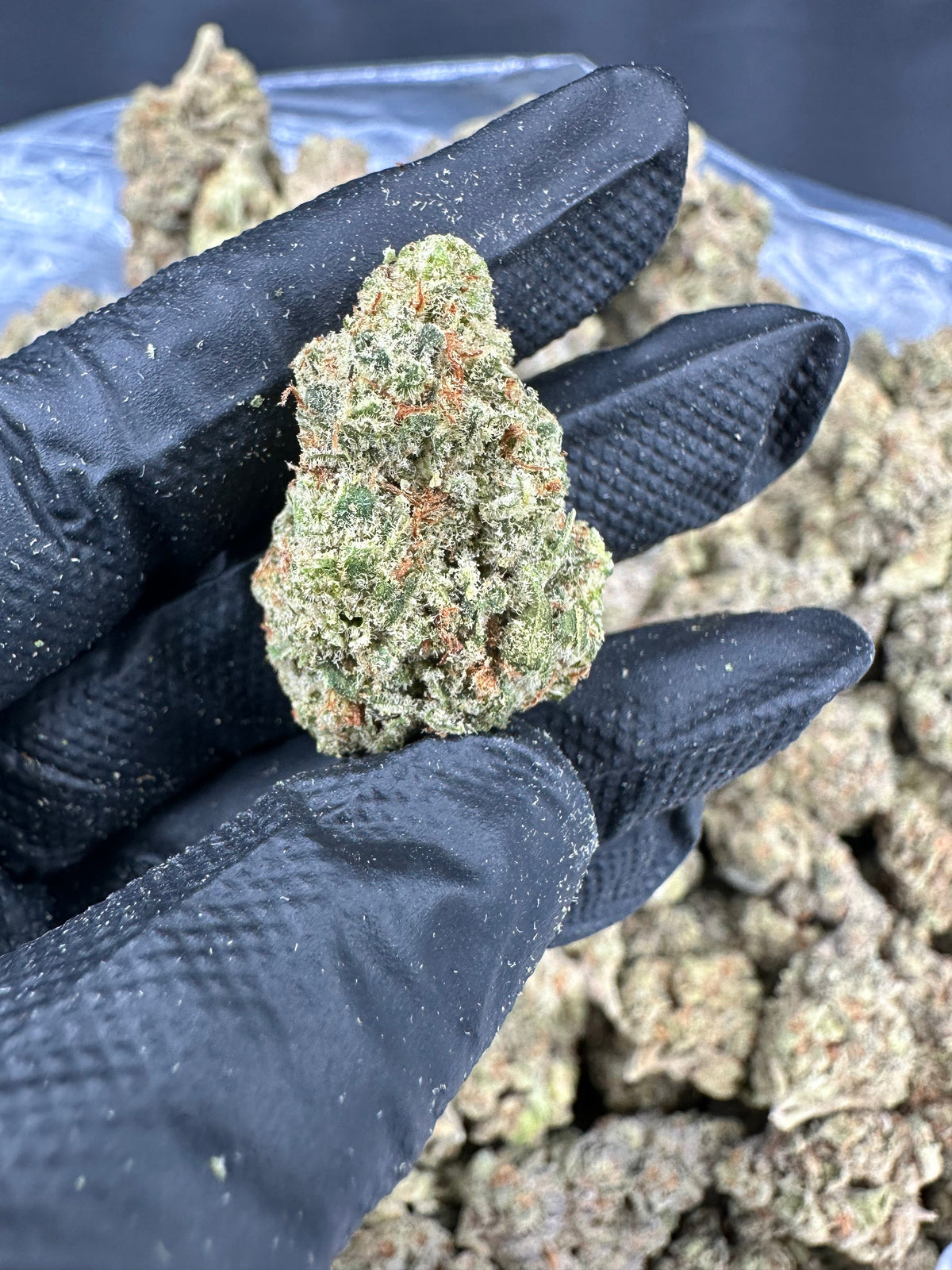 Sour Tangie THCA Flower (Premium)
