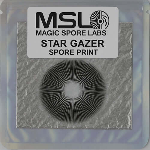 Stargazer Mushroom Spore Print