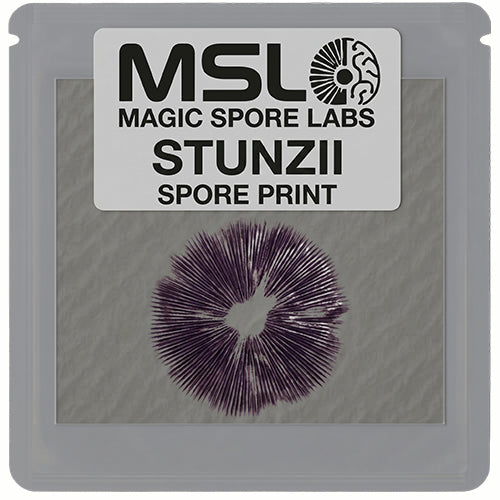 Stunzii Mushroom Spore Prints