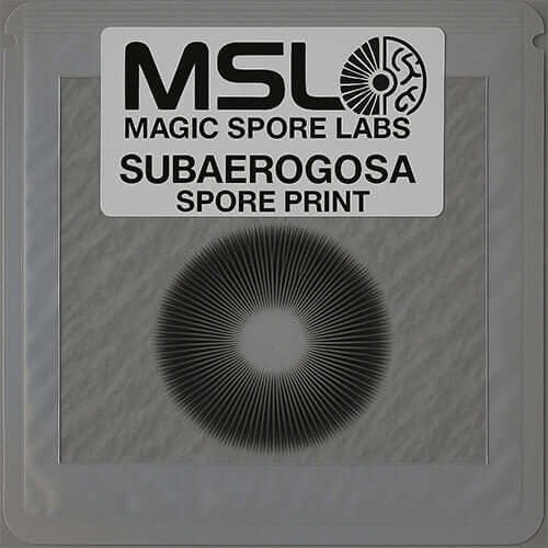 Subaeruginosa Mushroom Spore Prints