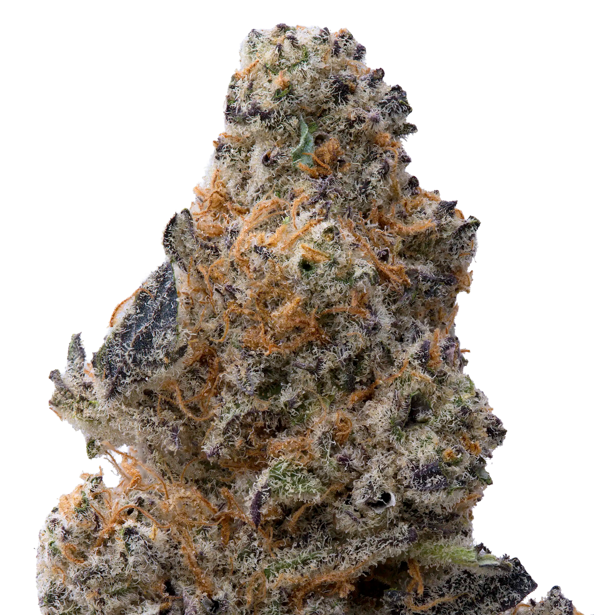 Subzero THCA Flower