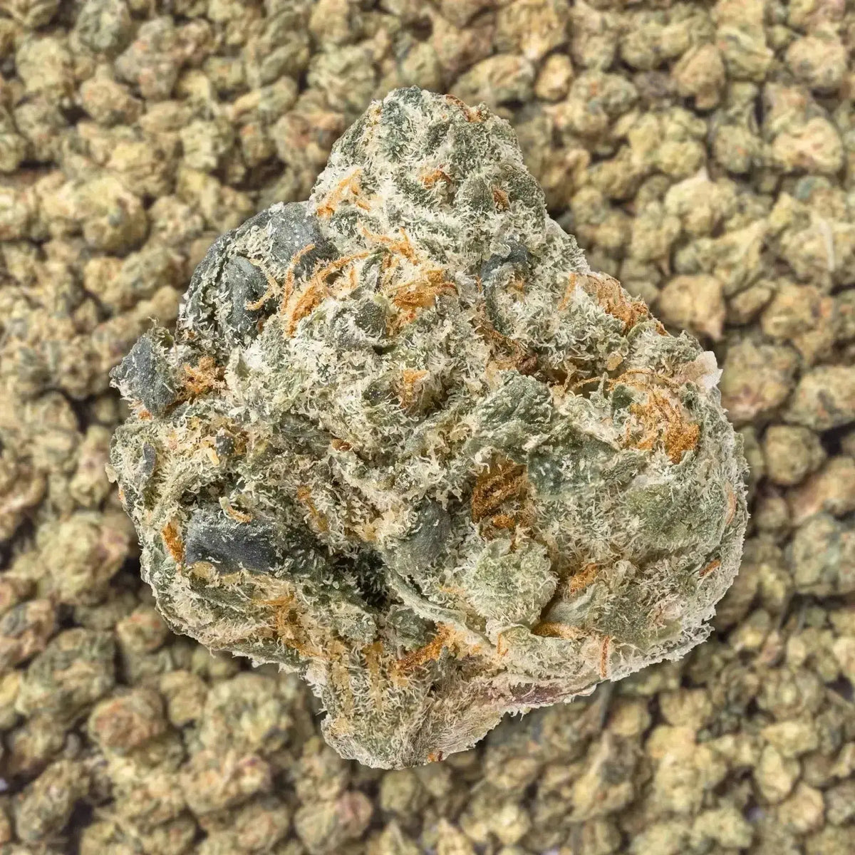 Thai Smalls THCa Flower