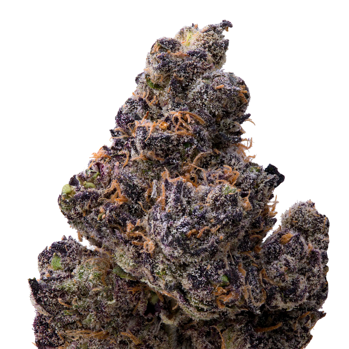 Ultraviolet THCA Flower