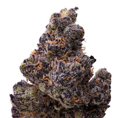 Ultraviolet THCA Flower