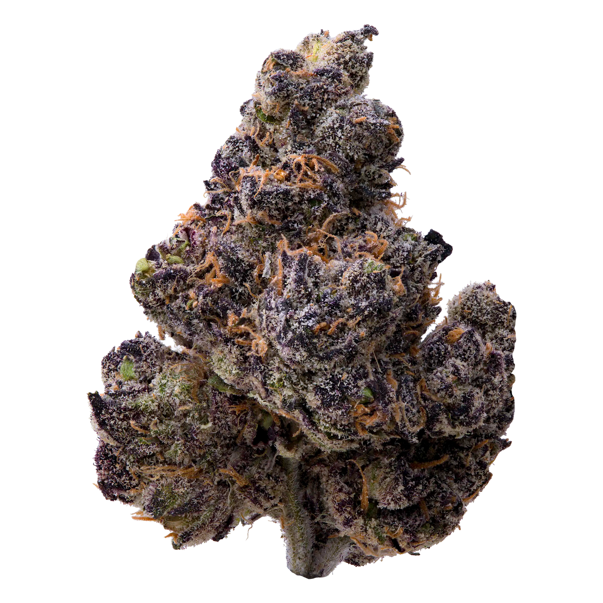 Ultraviolet THCA Flower