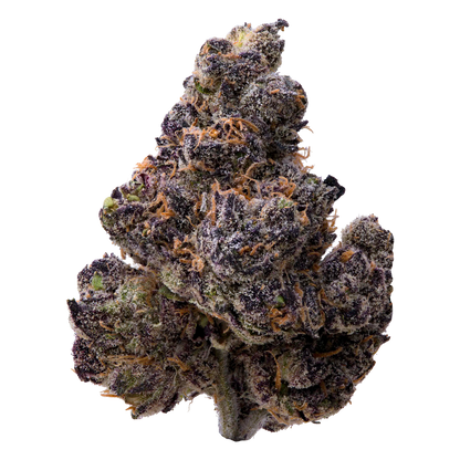 Ultraviolet THCA Flower