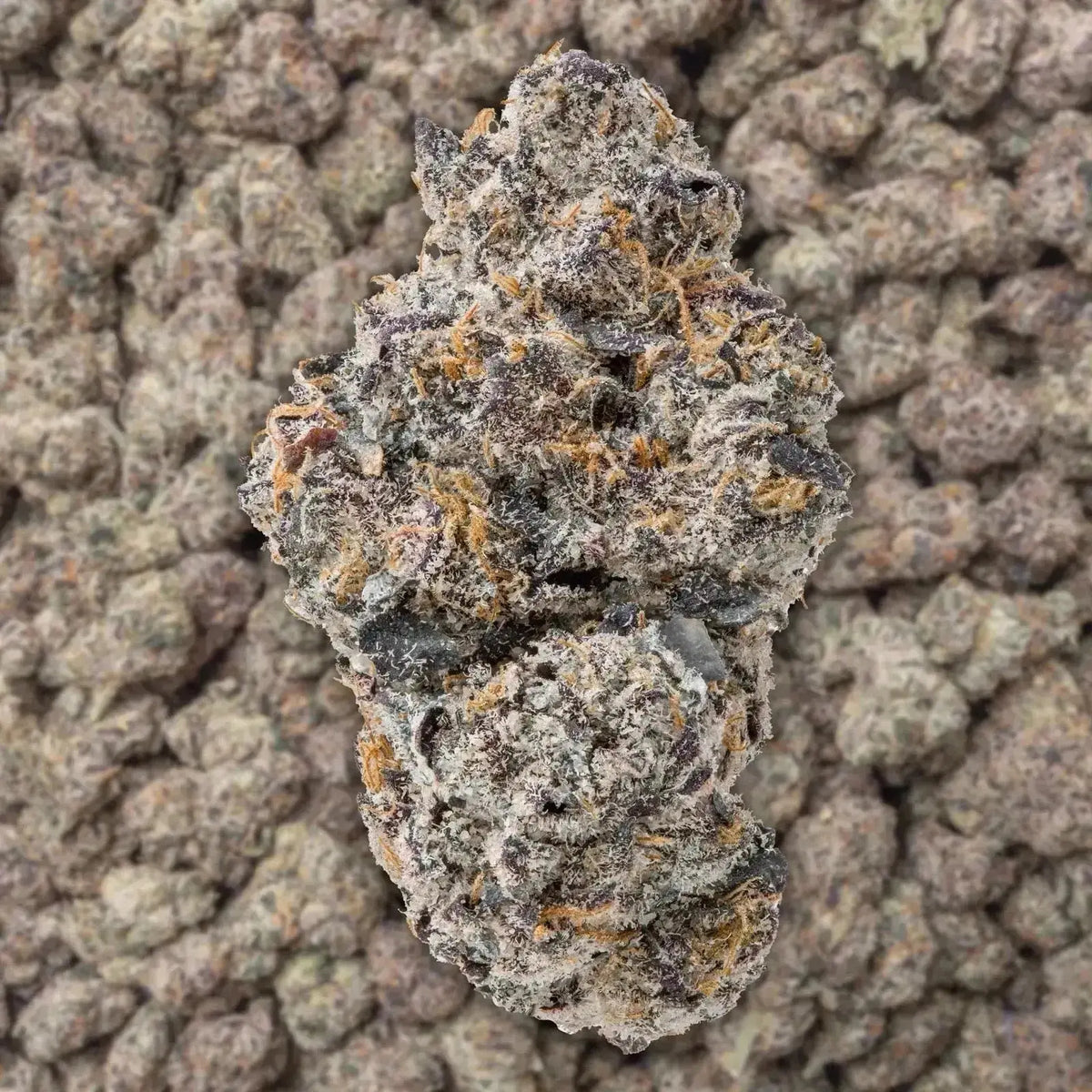 Uncle Snoop THCa Flower