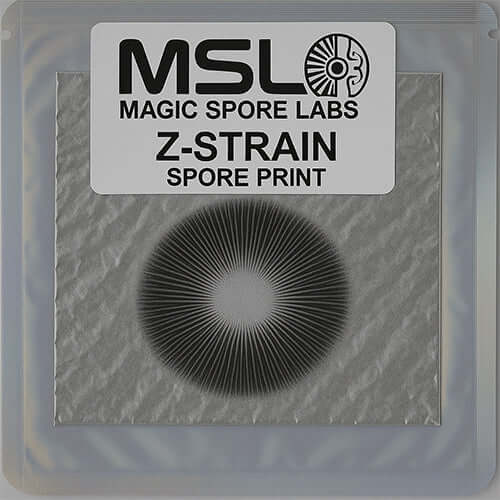 Z-Strain Mushroom Spore Print
