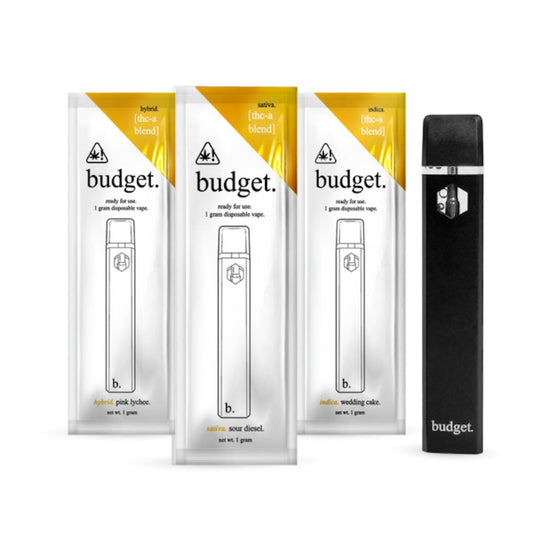 Budget THC-A Device - 1000mg