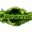 Omeweed logo