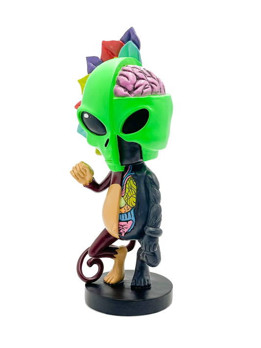 AFM Limited Edition 12" Hand-Painted Skeletal Monkey Figure - Collectors Item