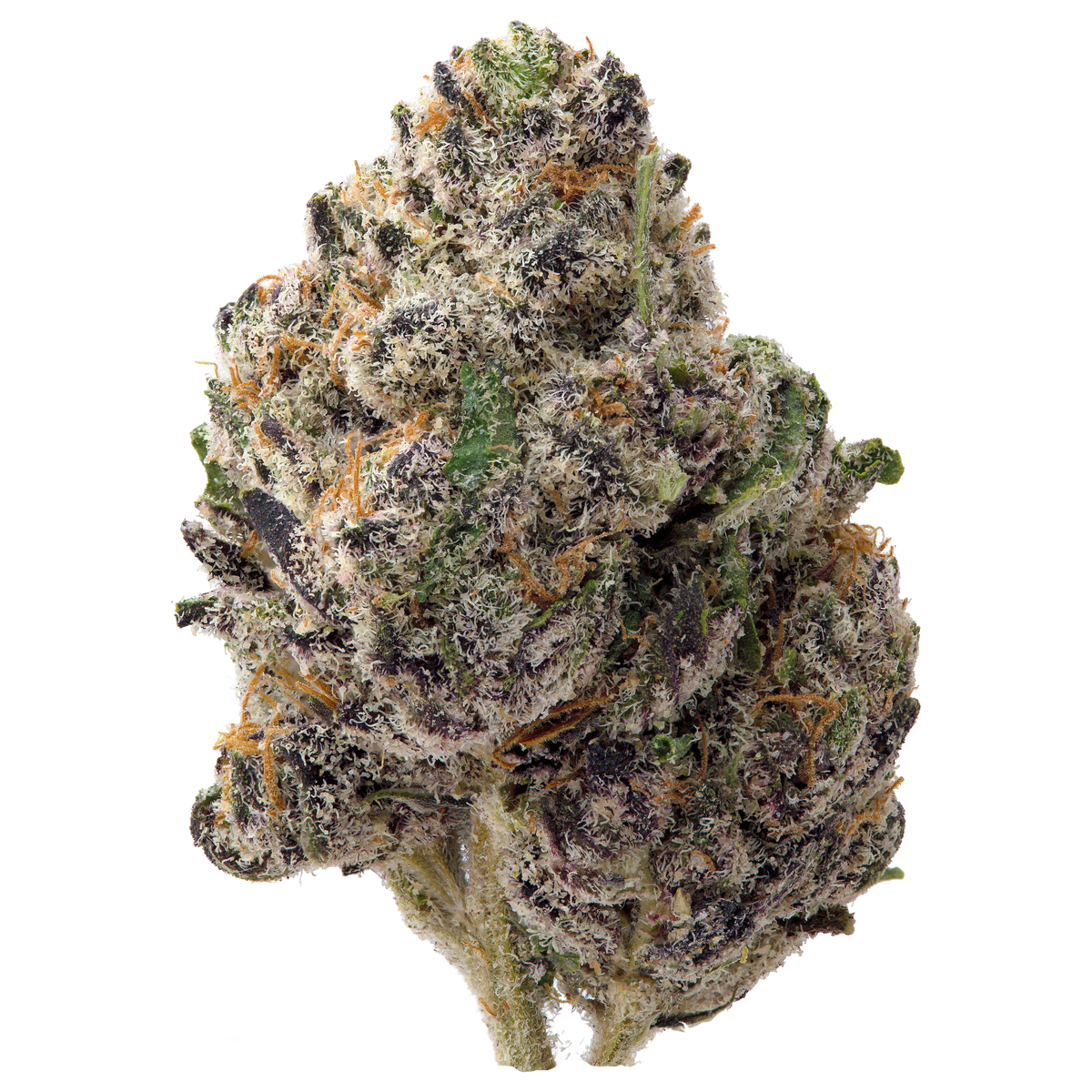 Northern Lights THCa Flower Ounce