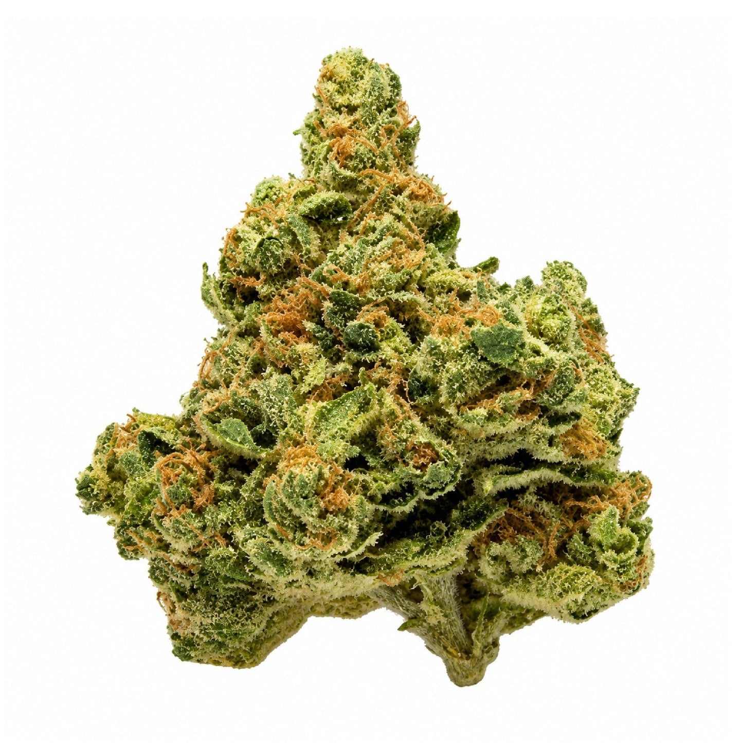 Select Shelf Skywalker OG THCa Infused Flower