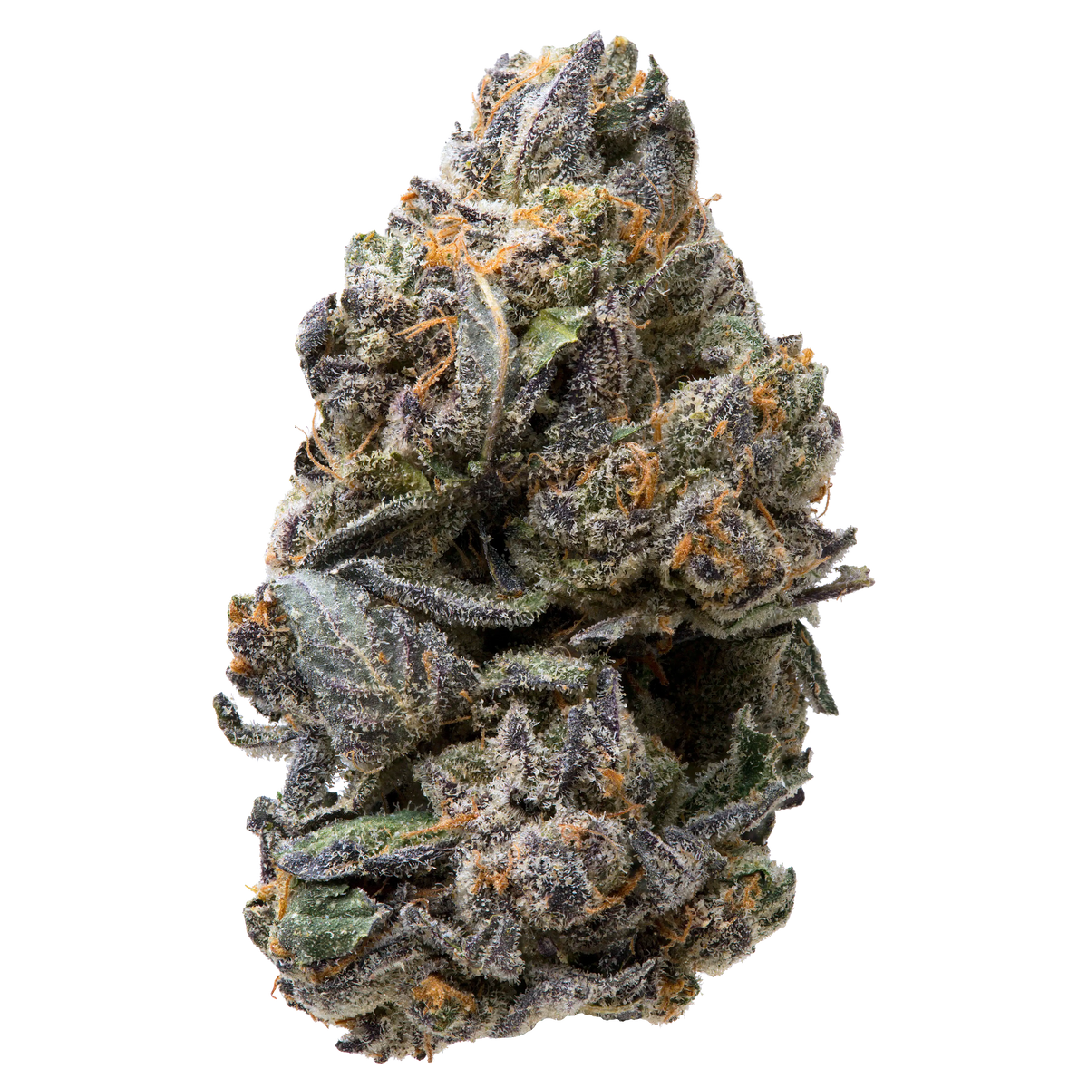 Tropical Gelato THCa Flower Ounce
