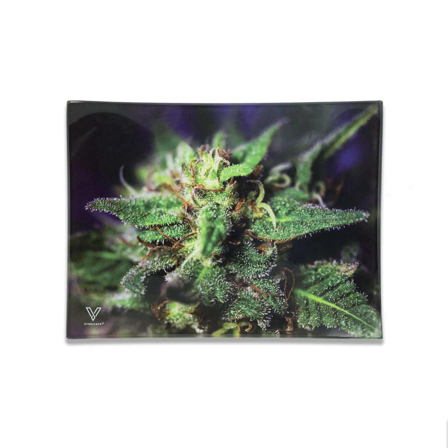 V Syndicate Blue Dream Shatter-Proof Glass Rolling Tray